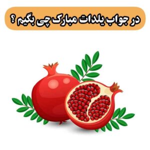 در جواب یلدات مبارک چی بگم ؟