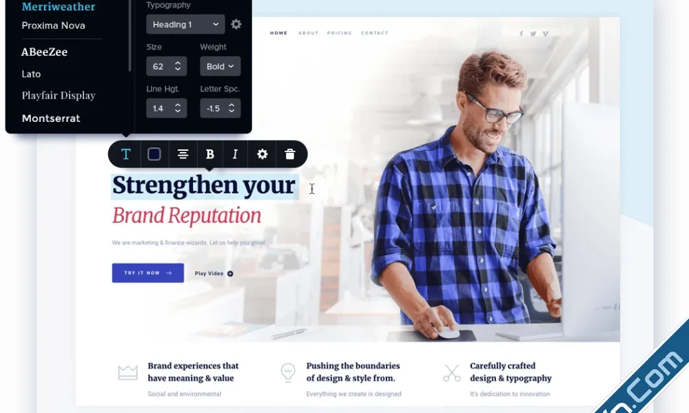 Brizy Pro - WordPress Page Builder