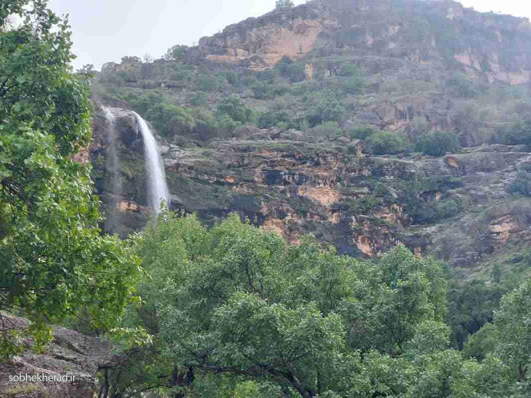 جواب فعالیت های هدیه های آسمانی پنجم درس 1