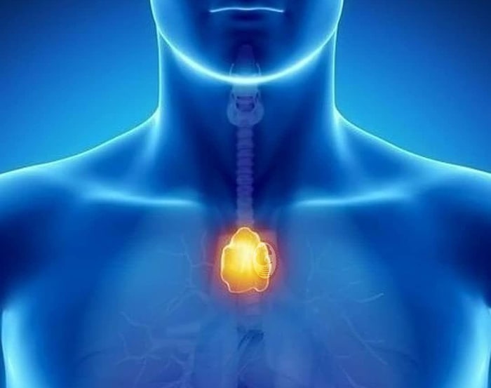 ۲۰ ضربه آرام روی غده تیموس؛ راز افزایش انرژی و شادی! (Thymus Tap)