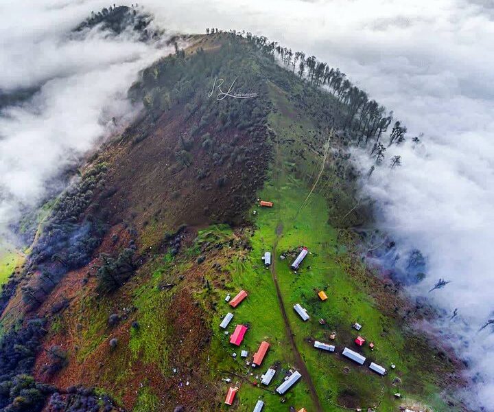 سوئه‌ چاله