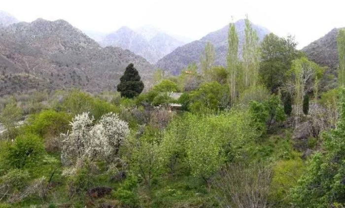 مکان های دیدنی شهر زیبای جیرفت + بهترین فصل سفر به جیرفت