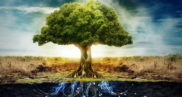 10حکایت زیبا و آموزنده در چند خط