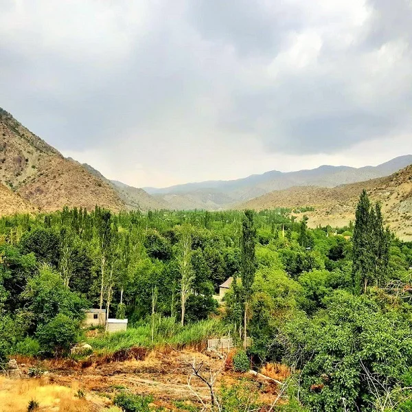 مکان های دیدنی شهر زیبای جیرفت + بهترین فصل سفر به جیرفت