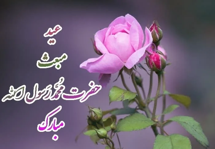 تبریک های زیبا و خاص برای عید مبعث 1404