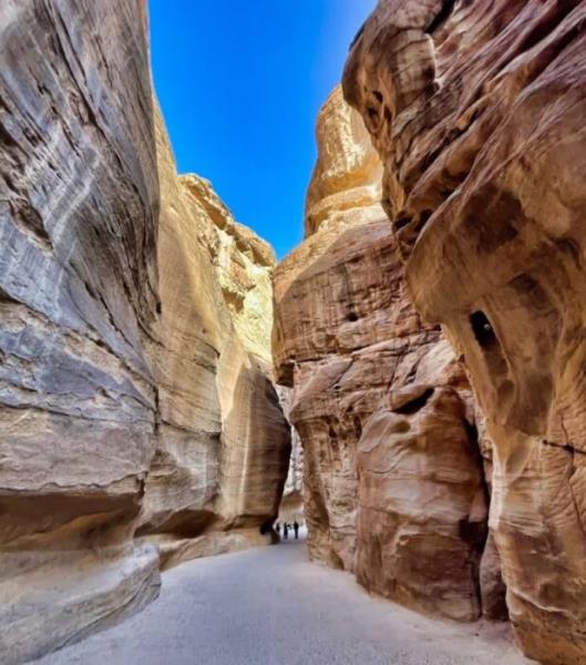 معبد شیرهای بالدار به همسر بالاترین خدای مرد نبطی، دوشارا - ارباب کوهها تقدیم شد.