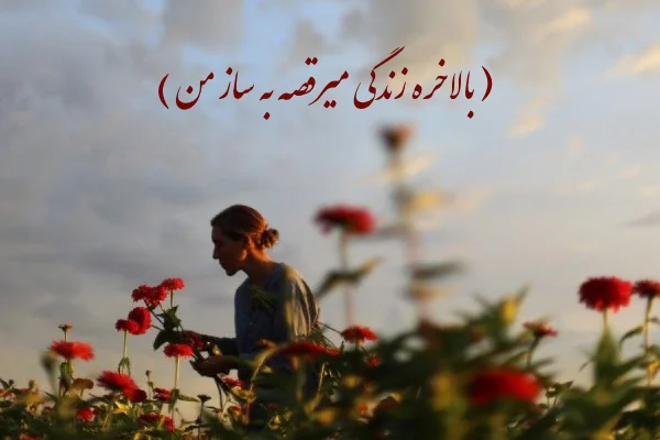 50 جملات ناب و آموزنده درباره زندگی