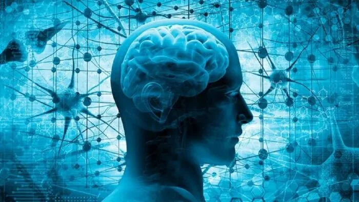 چرا بعضی حکایت‌ ها همیشه در ذهن می‌مانند؟
