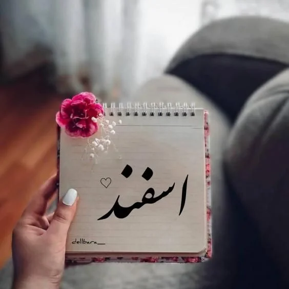 اس ام اس های زیبا و پراحساس برای اسفند ماهی های عزیز 1404