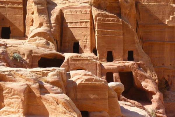 معماری نباتی در تمام ساختمان‌های پترا وجود دارد.
