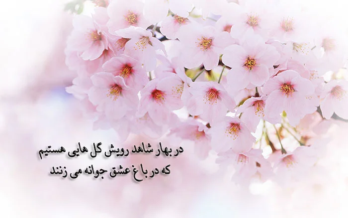 نوشته های زیبا درباره آمدن بهار مناسب اس ام اس