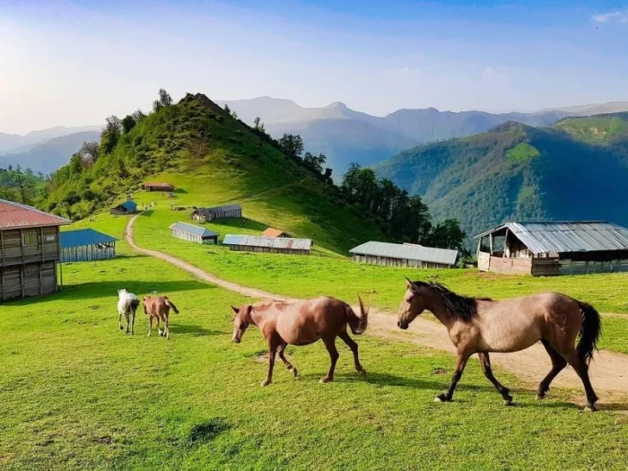 سفر به دل طبیعت؛ رویایی‌ترین مقاصد گردشگری ایران در سال ۱۴۰۴