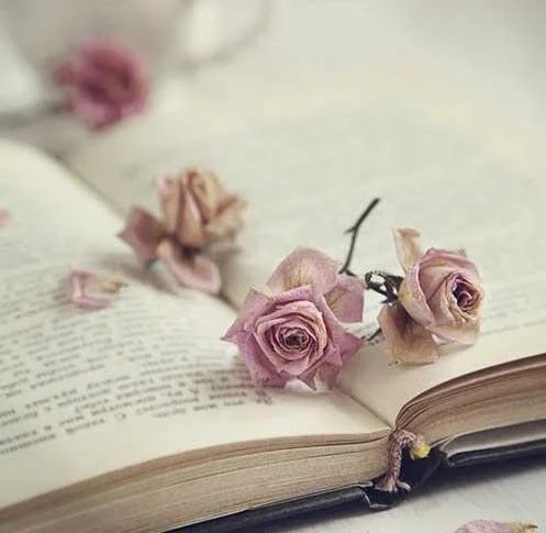 داستان های کوتاه اما جالب و آموزنده و جذاب