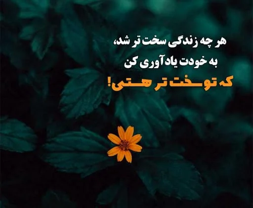 50 جملات ناب و آموزنده درباره زندگی