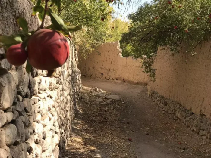 سفر به شهرهای ناشناخته ایران با تاریخچه‌ای غنی و جذاب