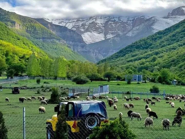 زانوس