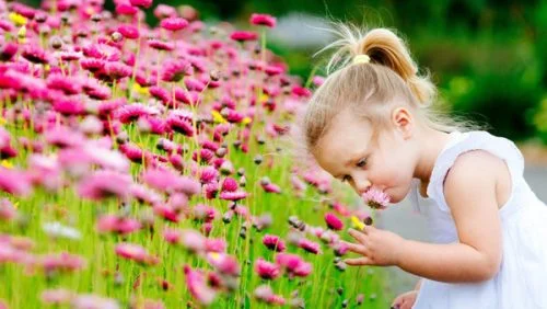 اس ام اس های جذاب و متنوع برای آمدن بهار