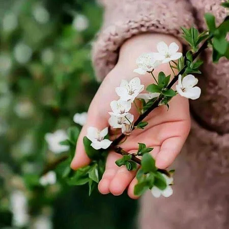 اس ام اس های جذاب و متنوع برای آمدن بهار