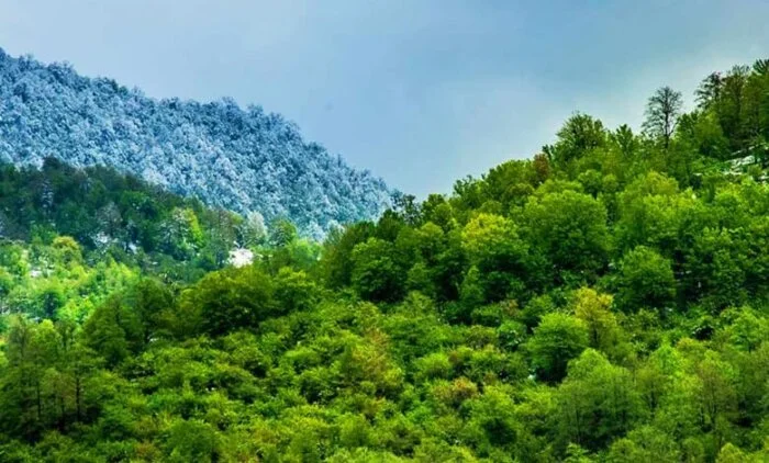 از شمال تا جنوب
