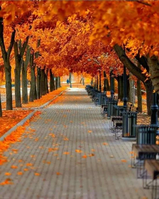 داستان های آموزنده و متنوع مناسب شب های پاییزی