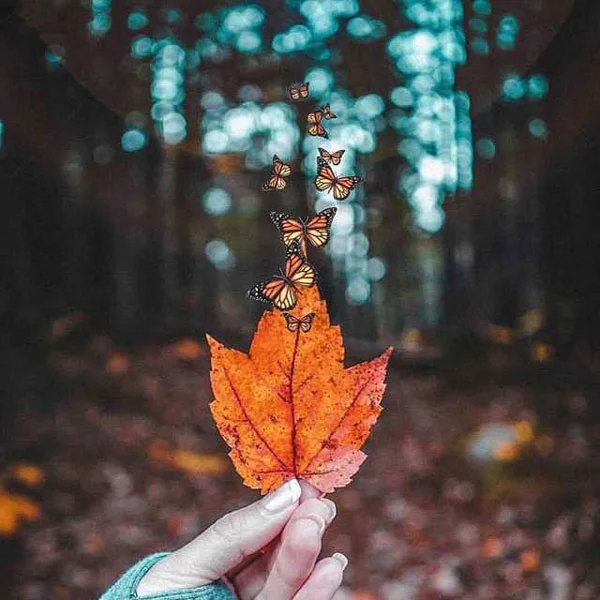 10 داستان های عاشقانه و بسیار آموزنده