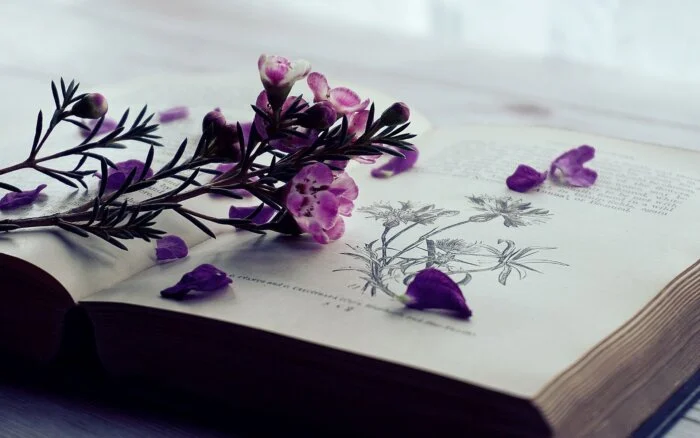 داستان های کوتاه اما جالب و آموزنده و جذاب