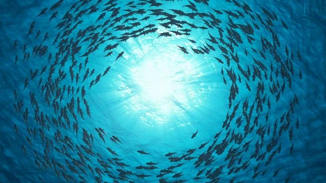 آیا یک حکایت ساده می‌تواند درسی بزرگ برای زندگی ما داشته باشد؟