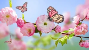 اس ام اس های جذاب و متنوع برای آمدن بهار
