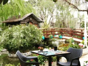 بهترین کافه های شیراز