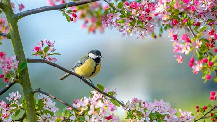 داستان آمدن بهار و سفره هفت سین برای پیرزن