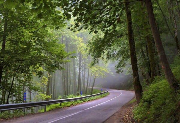 داستان های آموزنده برای بهار