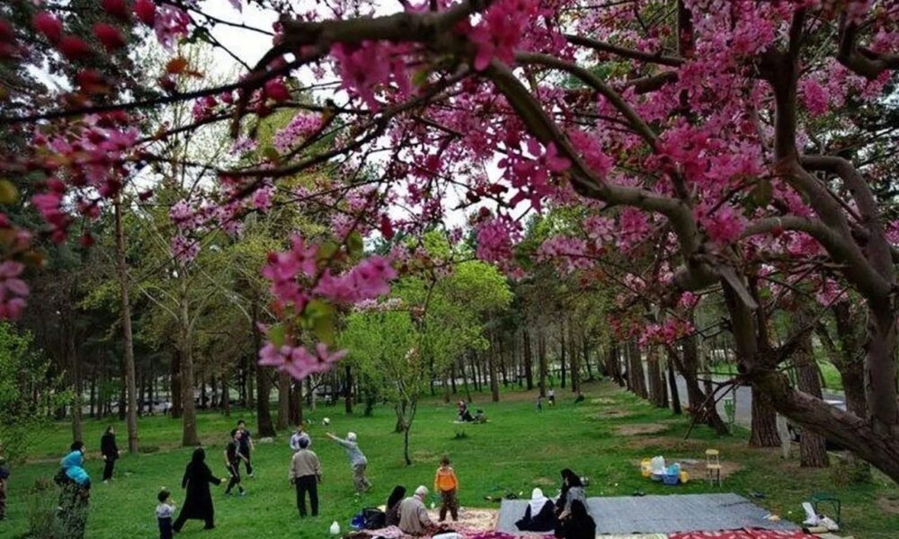 ۱۳ بدر چیست و چه فلسفه ای دارد