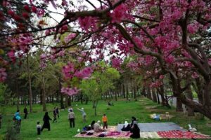 ۱۳ بدر چیست و چه فلسفه ای دارد