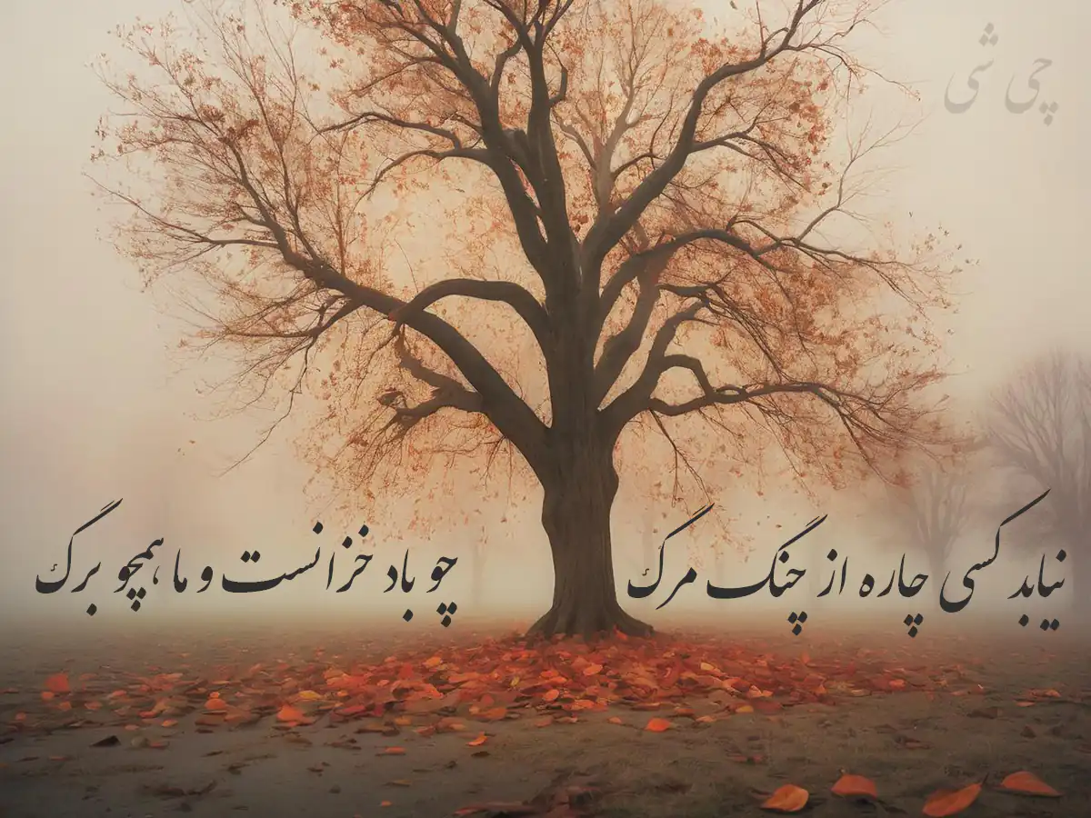 اشعار فردوسی