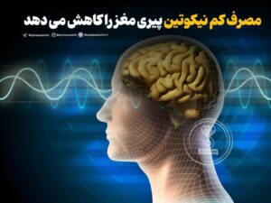 مصرف کم نیکوتین پیری مغز را کاهش می دهد!