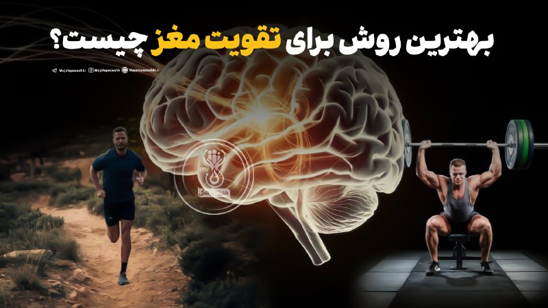 بهتری روش برای تقویت مغز چیست؟🧠