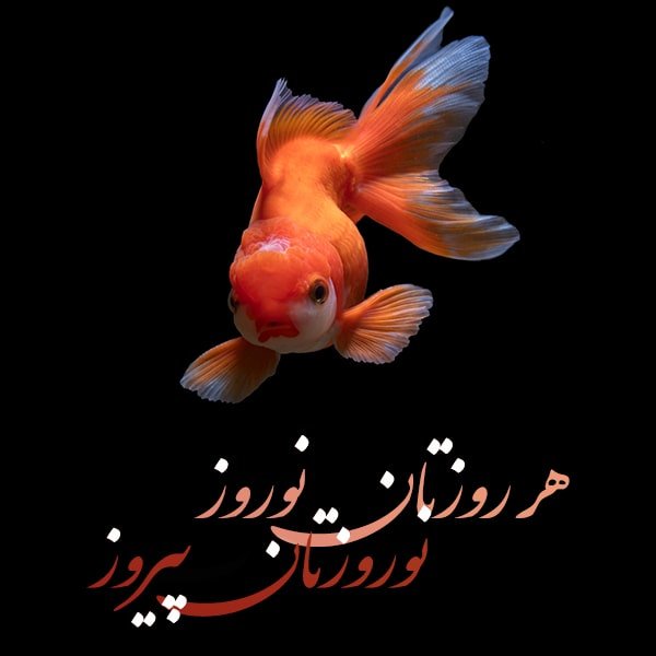 شادباش عید نوروز , عکس پروفایل شادباش عید نوروز , بیو پروفایل شادباش عید نوروز