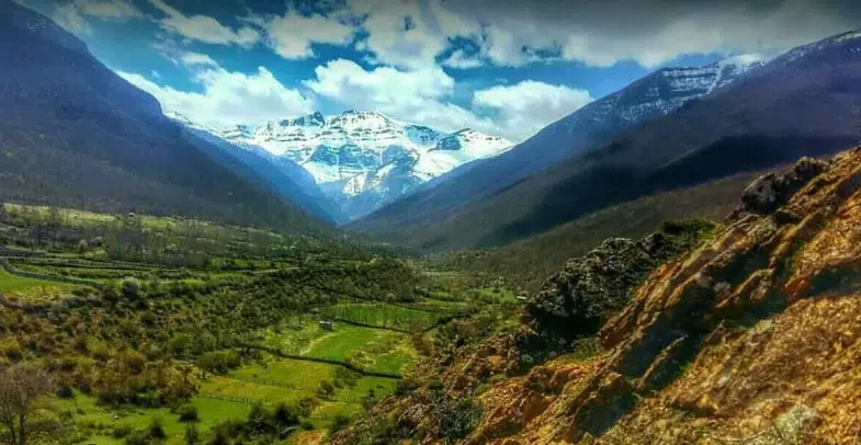 زانوس