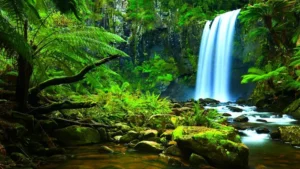 جاهای دیدنی قائمشهر
