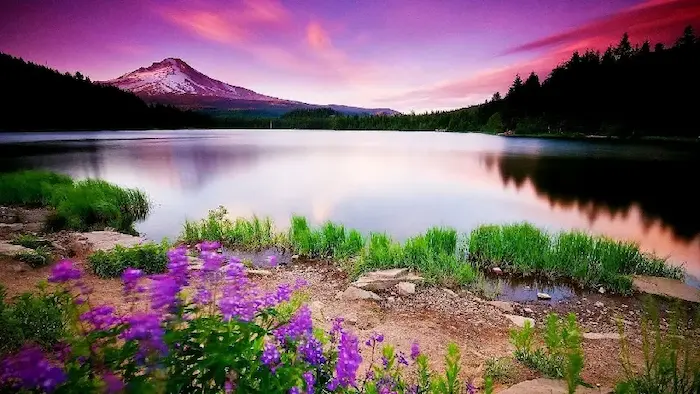 جاهای دیدنی قائمشهر