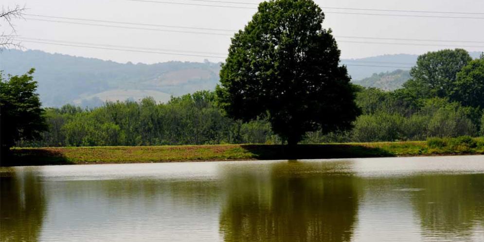 جاهای دیدنی قائمشهر