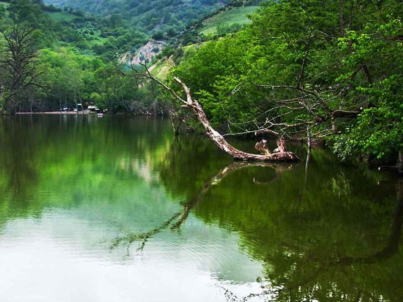 جاهای دیدنی قائمشهر