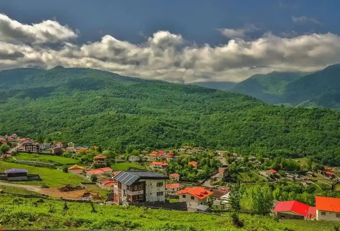 جنگل بلیران