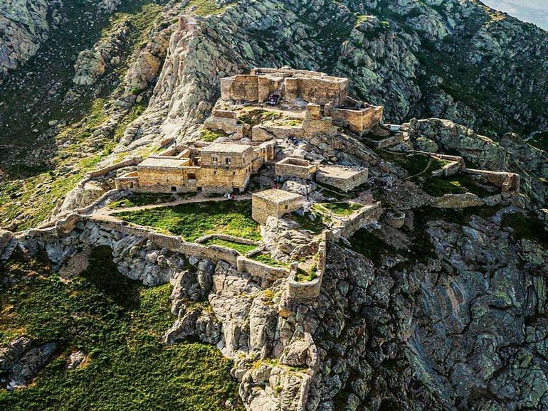 جنگل دیزمار