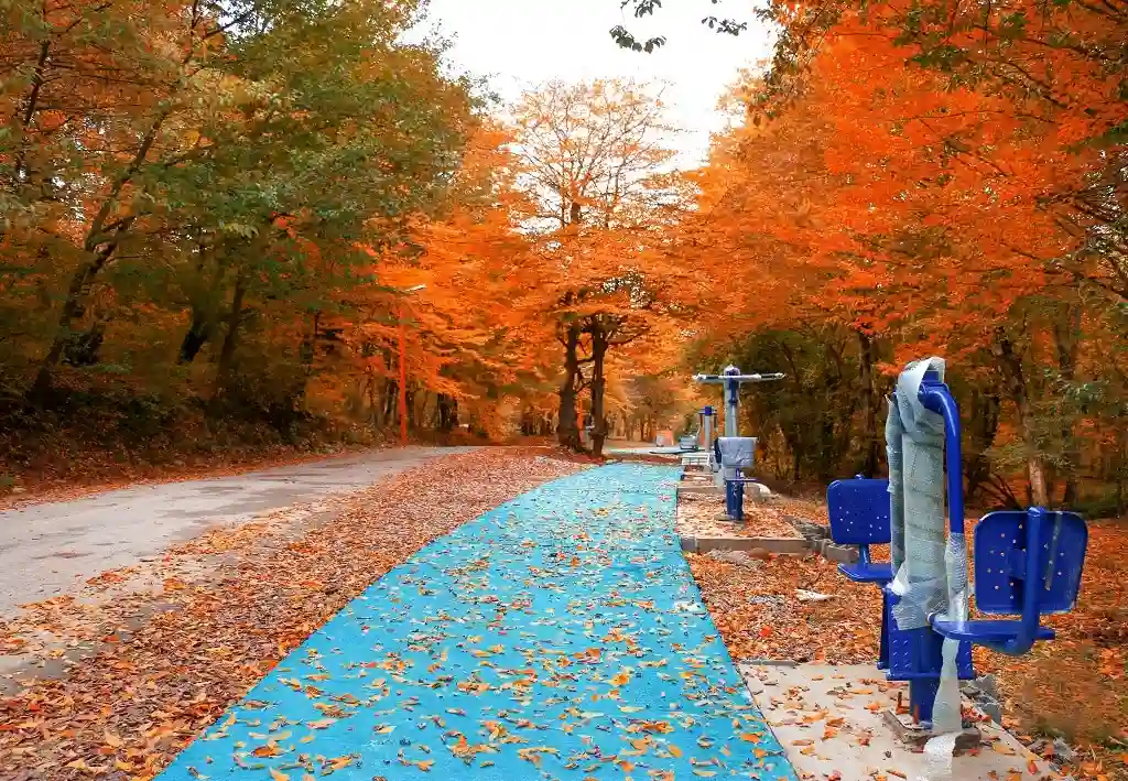 جاهای دیدنی قائمشهر