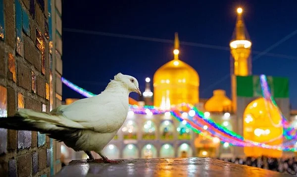 داستان های زیبا و آموزنده از امام هشتم امام رضا (ع)