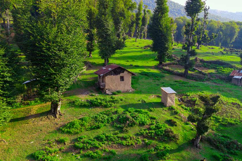ییلاق سی‌دشت