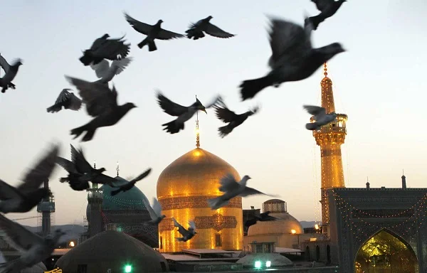 داستان های زیبا و آموزنده از امام هشتم امام رضا (ع)