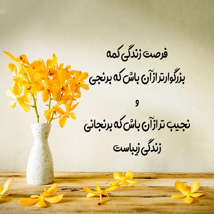 کلمات حکیمانه که زندگیتان را تغییر می‌دهد : گفته‌ های بزرگان!