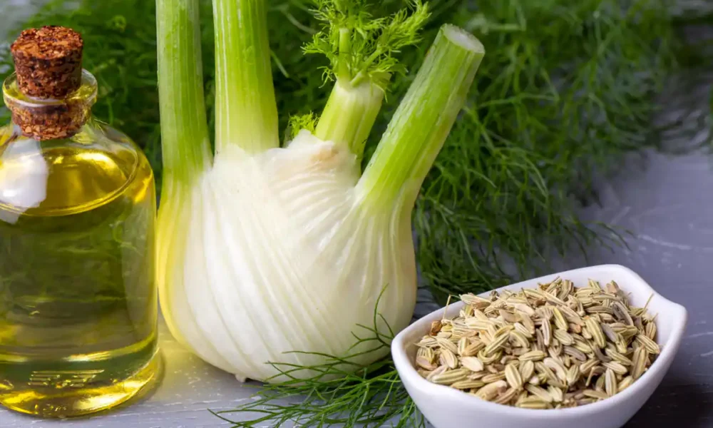 25 مورد از مهم ترین خواص و مضرات رازیانه + چه کسانی نباید بخورند!
